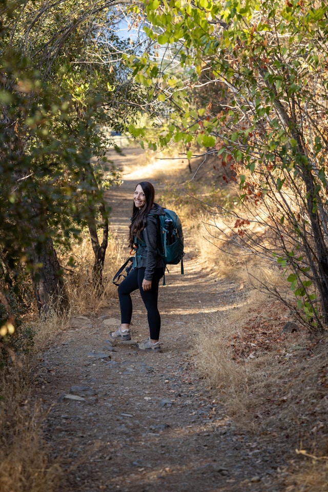 Xandorevantis kierunek