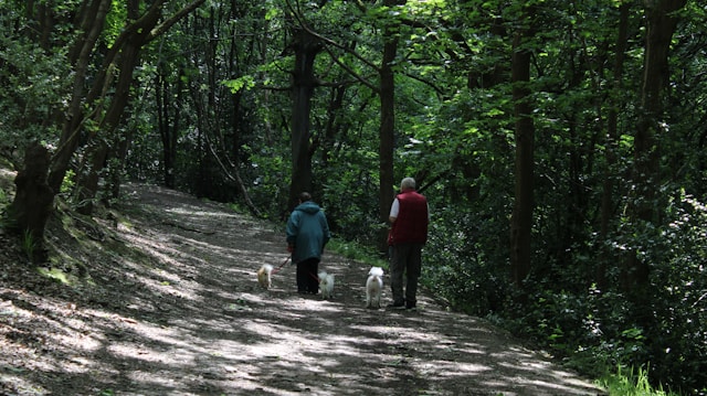 Xandorevantis zdjęcie 2